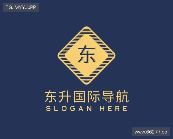 概述东升国际导航